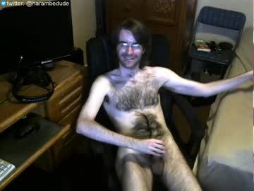 harambedude chaturbate