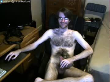 harambedude chaturbate